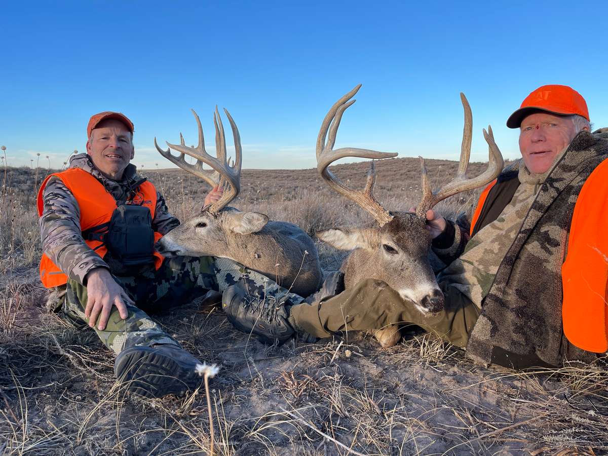 CO Whitetail Hunts